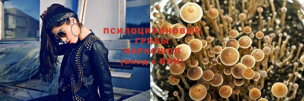 экстази Арсеньев