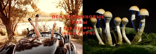 ПСИЛОЦИБИНОВЫЕ ГРИБЫ Аркадак