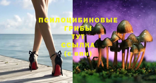 ПСИЛОЦИБИНОВЫЕ ГРИБЫ Аркадак