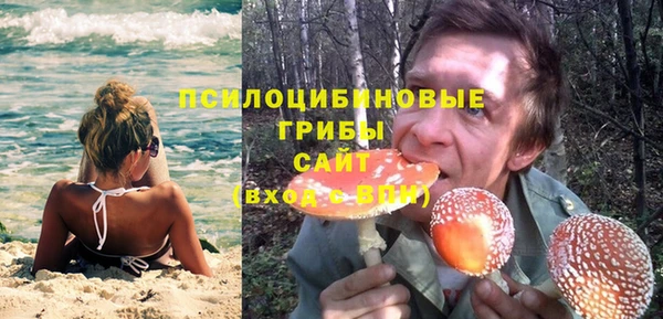 экстази Арсеньев